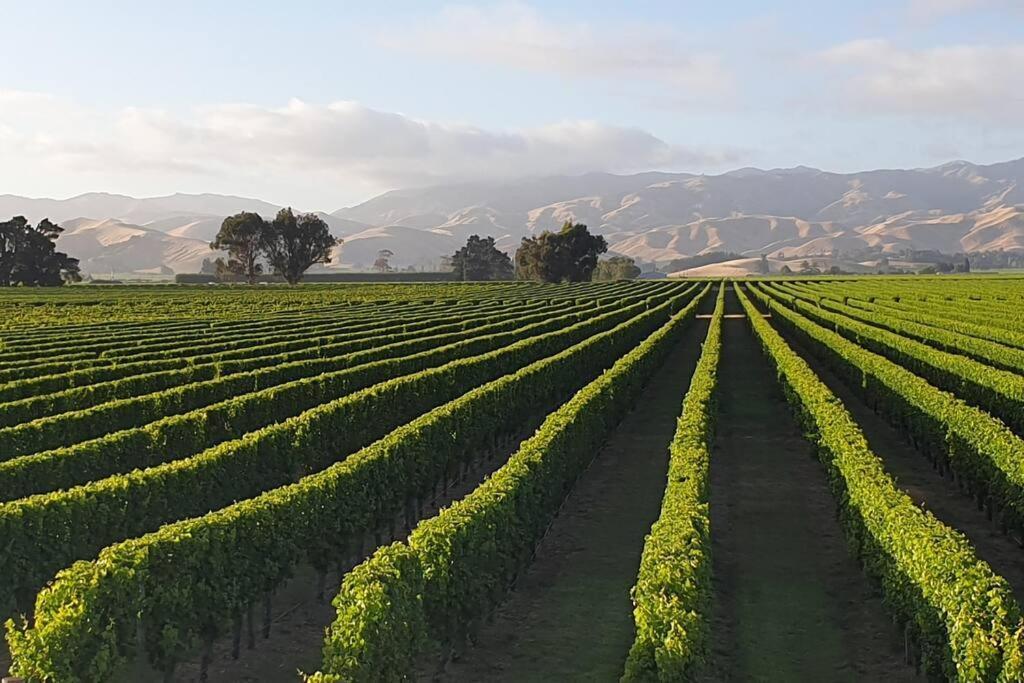 Luxury Cottage With Stunning Vineyard Views Renwick Экстерьер фото